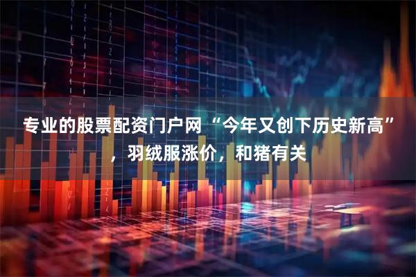 专业的股票配资门户网 “今年又创下历史新高”，羽绒服涨价，和猪有关