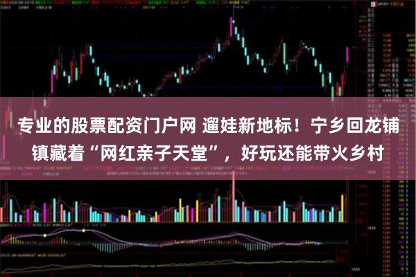 专业的股票配资门户网 遛娃新地标！宁乡回龙铺镇藏着“网红亲子天堂”，好玩还能带火乡村