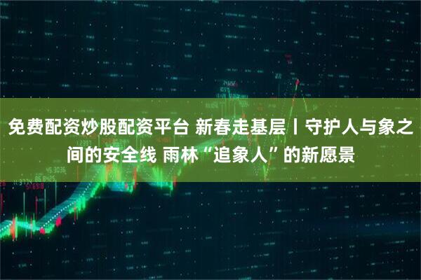 免费配资炒股配资平台 新春走基层丨守护人与象之间的安全线 雨林“追象人”的新愿景